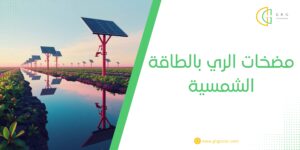 مضخات الري بالطاقة الشمسية
